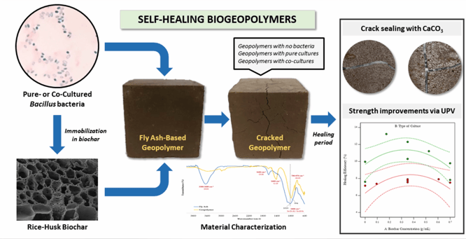 Self Healing Biogeopolymers